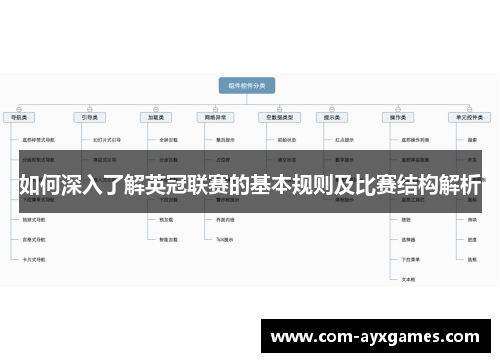 如何深入了解英冠联赛的基本规则及比赛结构解析