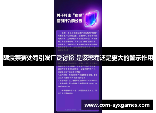 魏震禁赛处罚引发广泛讨论 是该惩罚还是更大的警示作用
