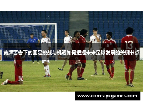 黄牌警告下的国足挑战与机遇如何把握未来足球发展的关键节点