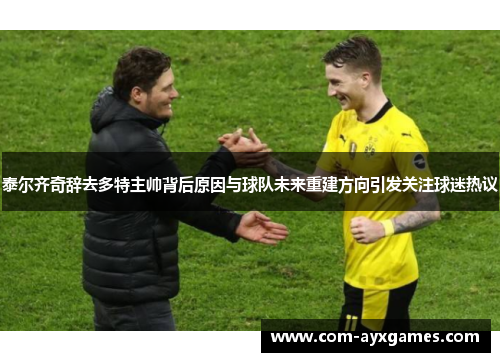 泰尔齐奇辞去多特主帅背后原因与球队未来重建方向引发关注球迷热议