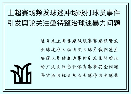 土超赛场频发球迷冲场殴打球员事件引发舆论关注亟待整治球迷暴力问题 土超赛场频发球迷冲场殴打球员事件引发舆论关注亟待整治球迷暴力问题